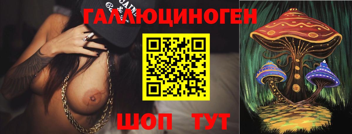 Галлюциногенные грибы Psilocybine cubensis  Псилоцибиновые грибы Psilocybe  Вход с VPN  Шали 